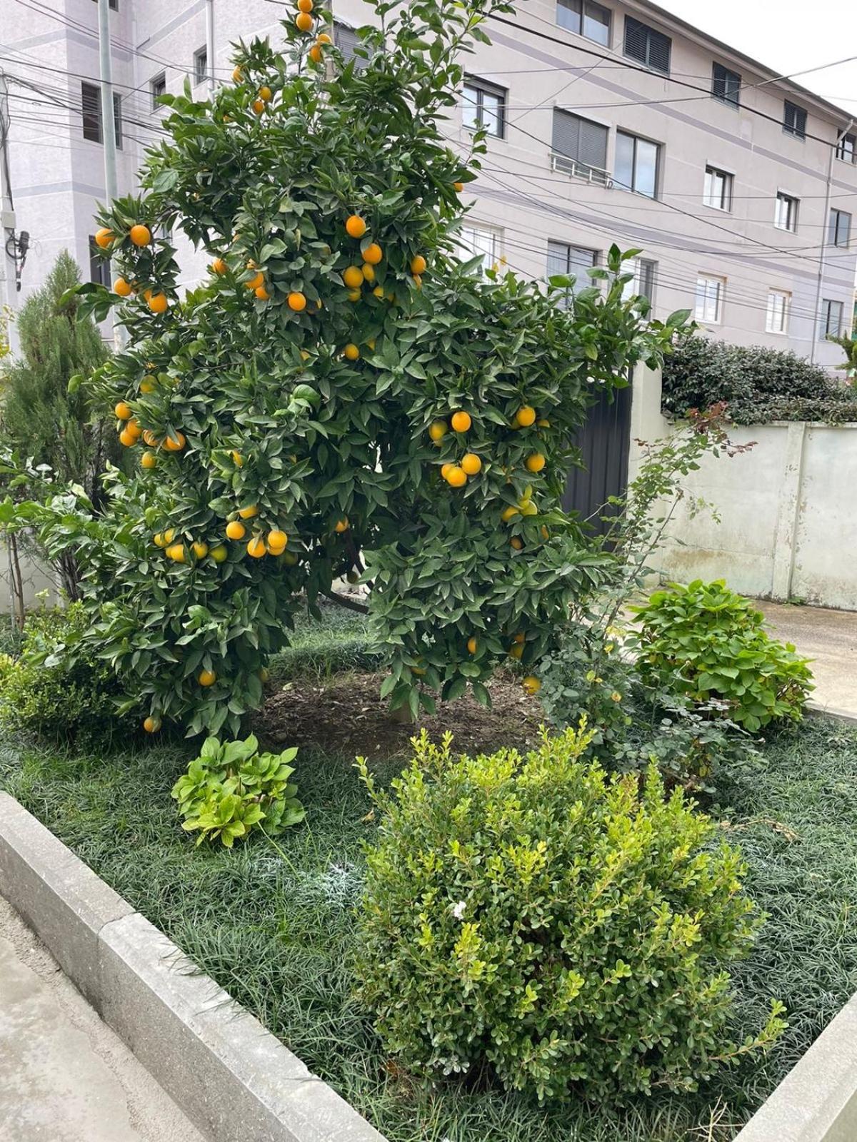 Kevi 'S Place تيرانا المظهر الخارجي الصورة